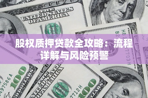 北京股权质押贷款全攻略：流程详解与风险预警