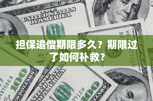 北京担保追偿期限多久？期限过了如何补救？