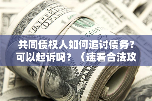 北京共同债权人如何追讨债务？可以起诉吗？（速看合法攻略）