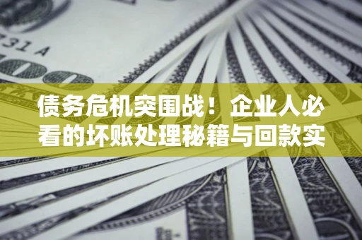 北京债务危机突围战！企业人必看的坏账处理秘籍与回款实战指南